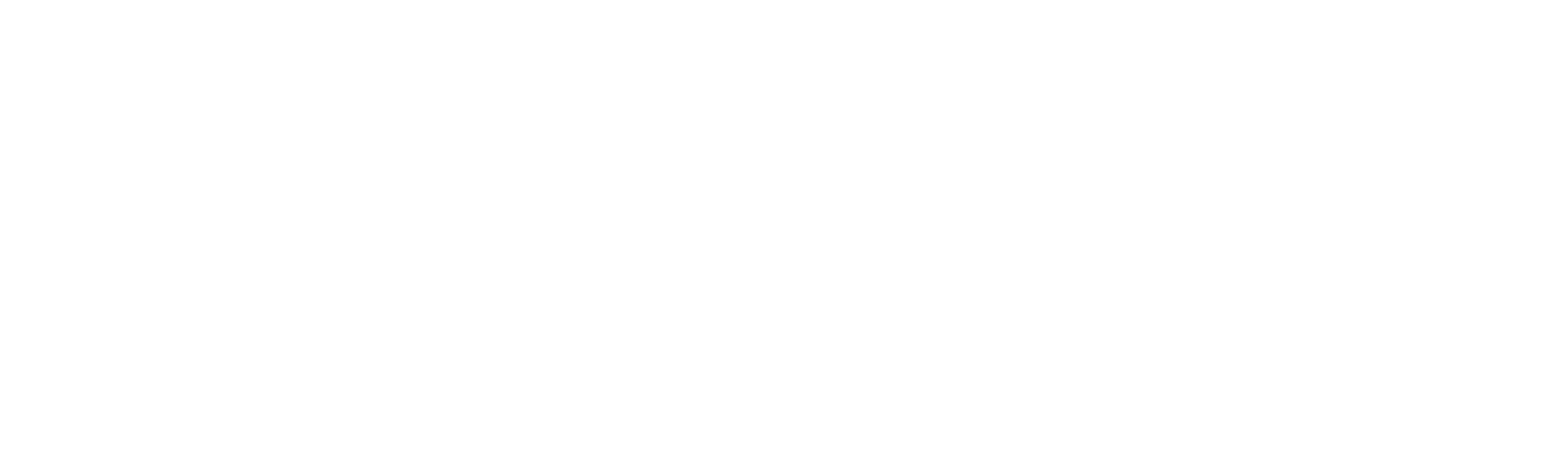 KESTREL 1